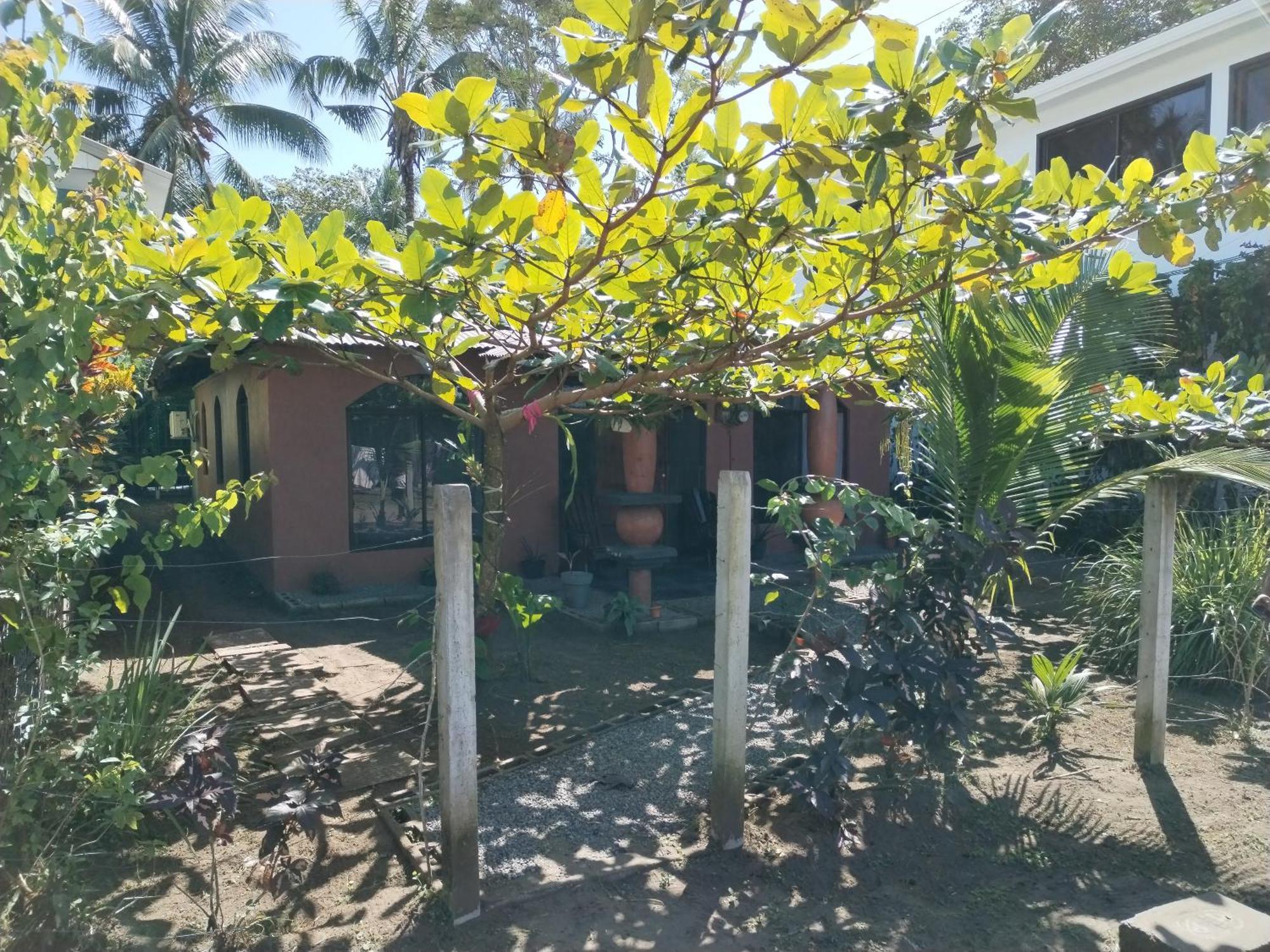 Micheck Beach House 토르투게로 외부 사진